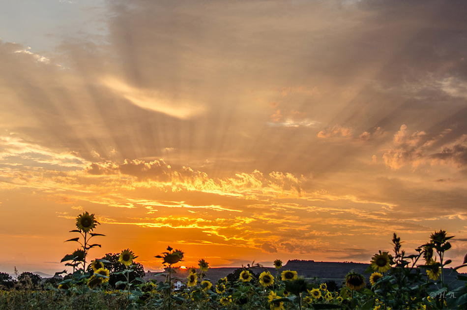 Sonnenuntergang