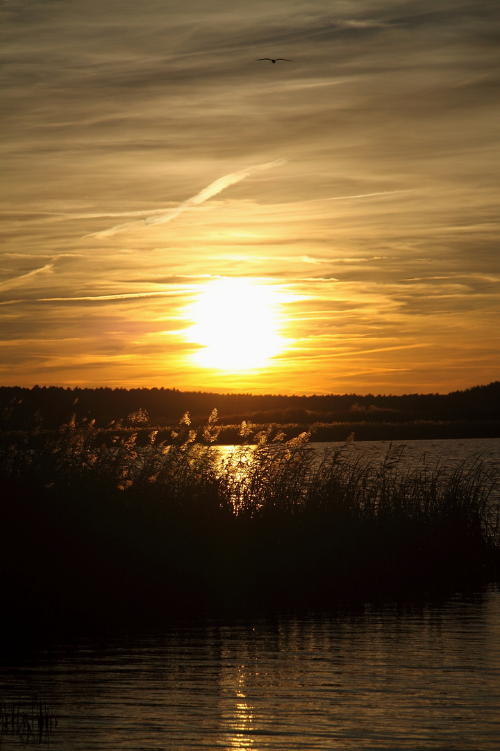 Sonnenuntergang