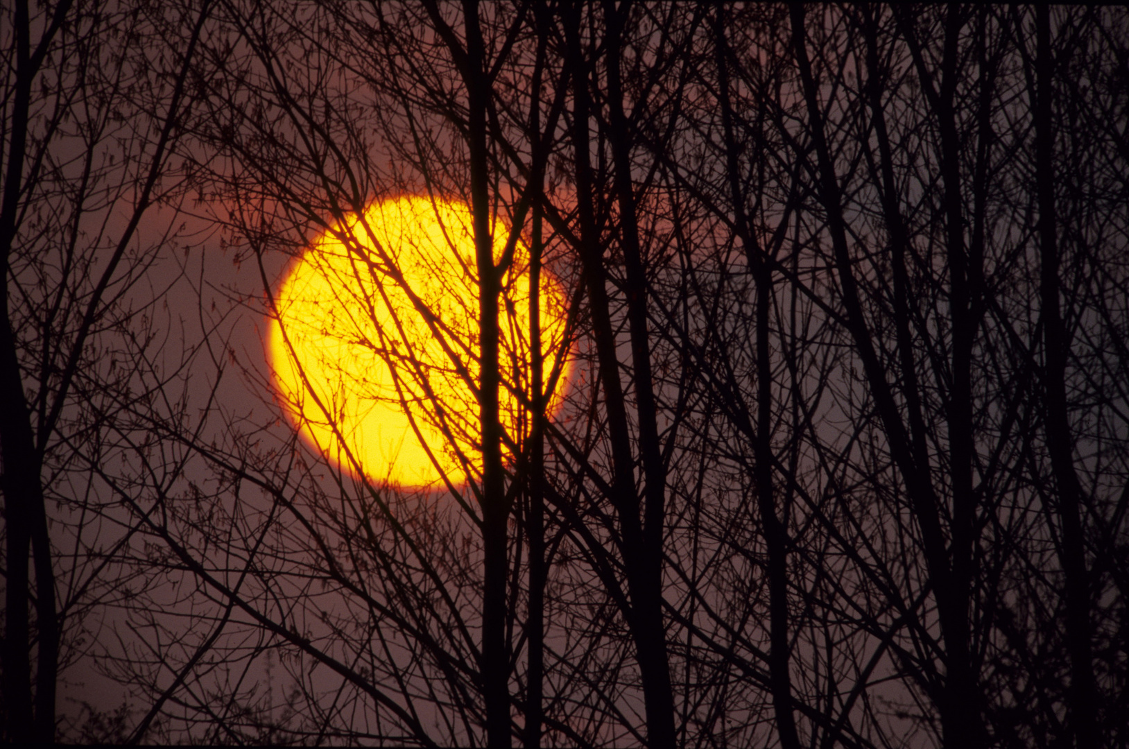 Sonnenuntergang