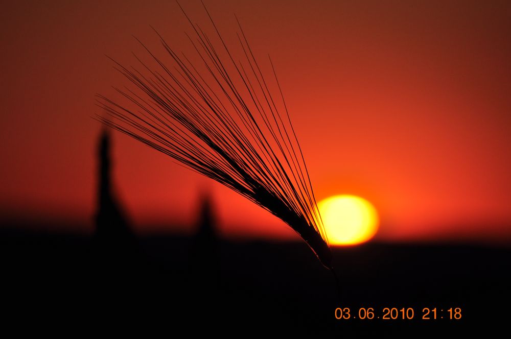 sonnenuntergang von nicole runkel