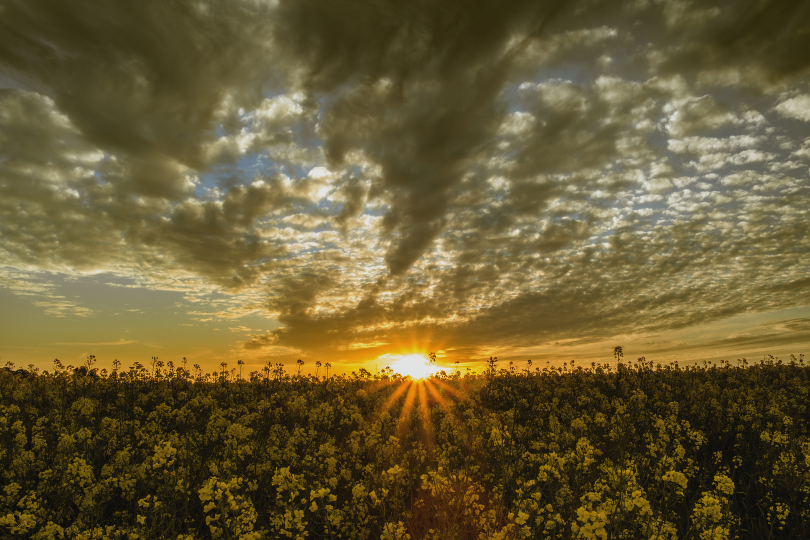 Sonnenuntergang