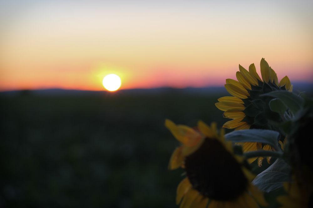 Sonnenuntergang 