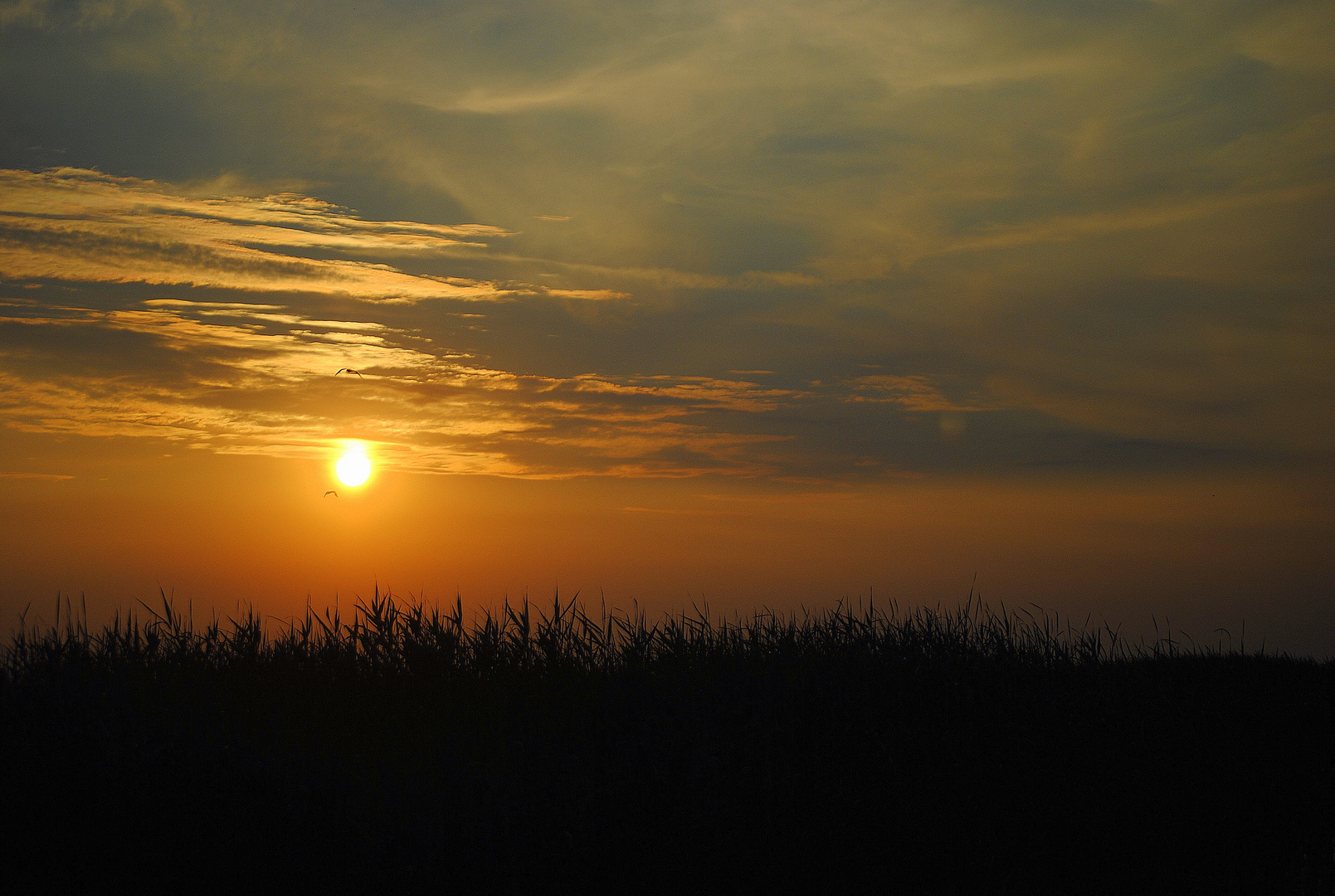 Sonnenuntergang...