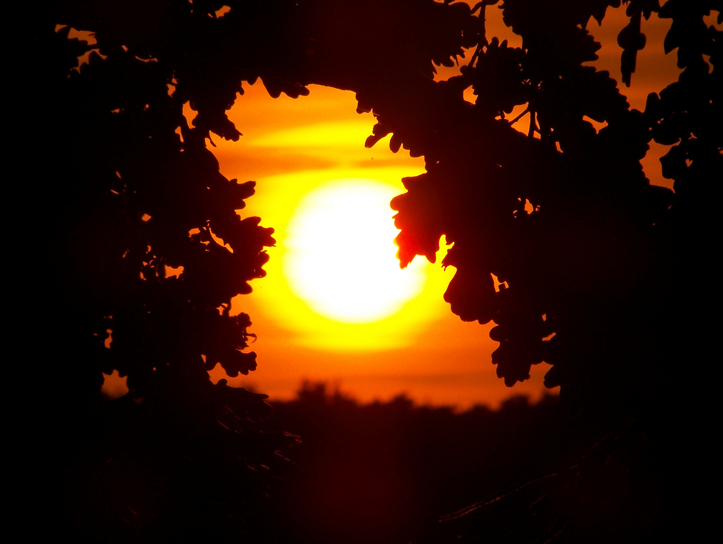 Sonnenuntergang