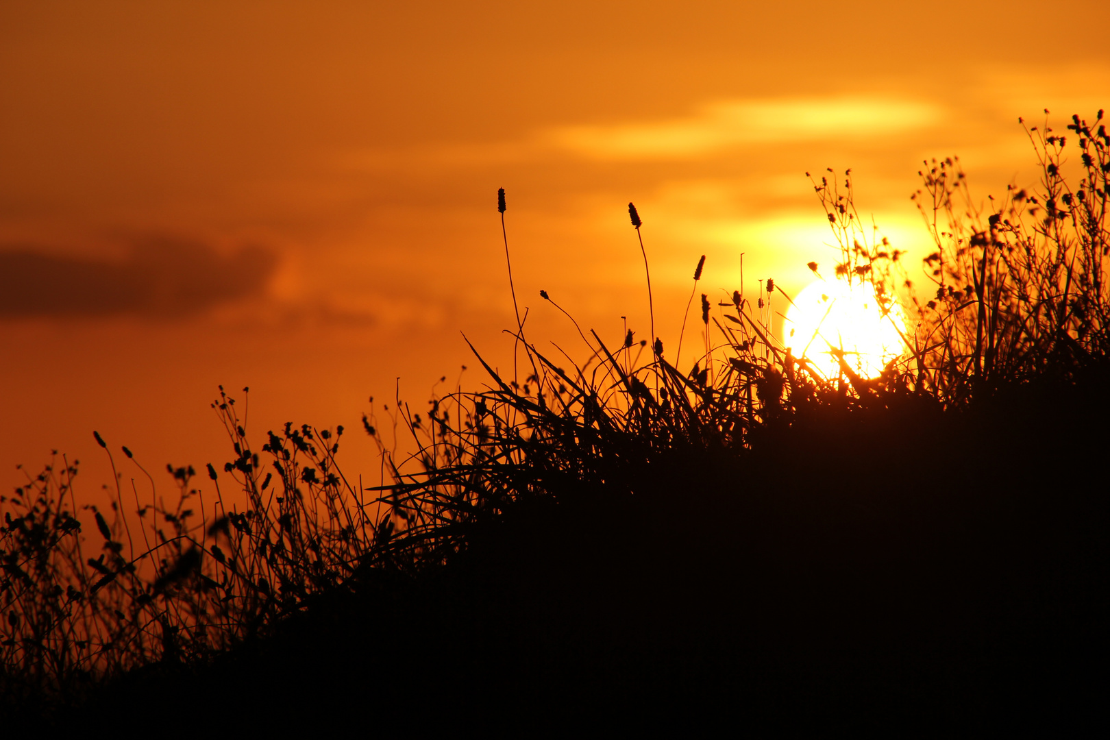 Sonnenuntergang