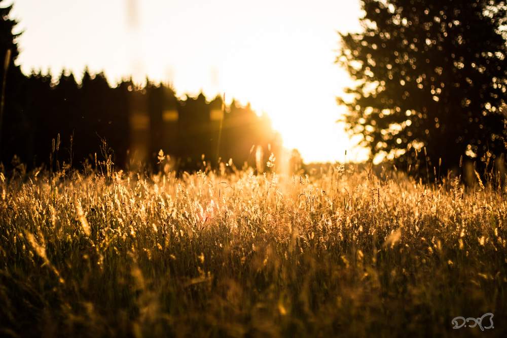 Sonnenuntergang