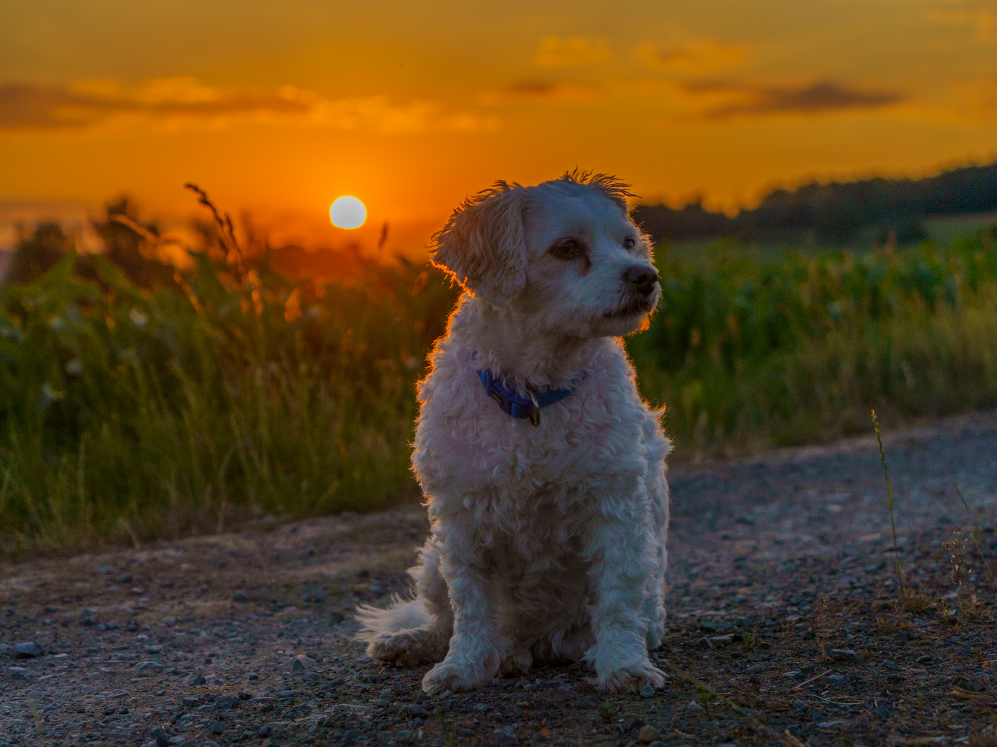 Sonnenuntergang