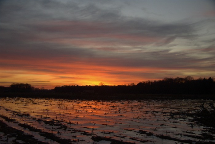 Sonnenuntergang von Anne Gansfort