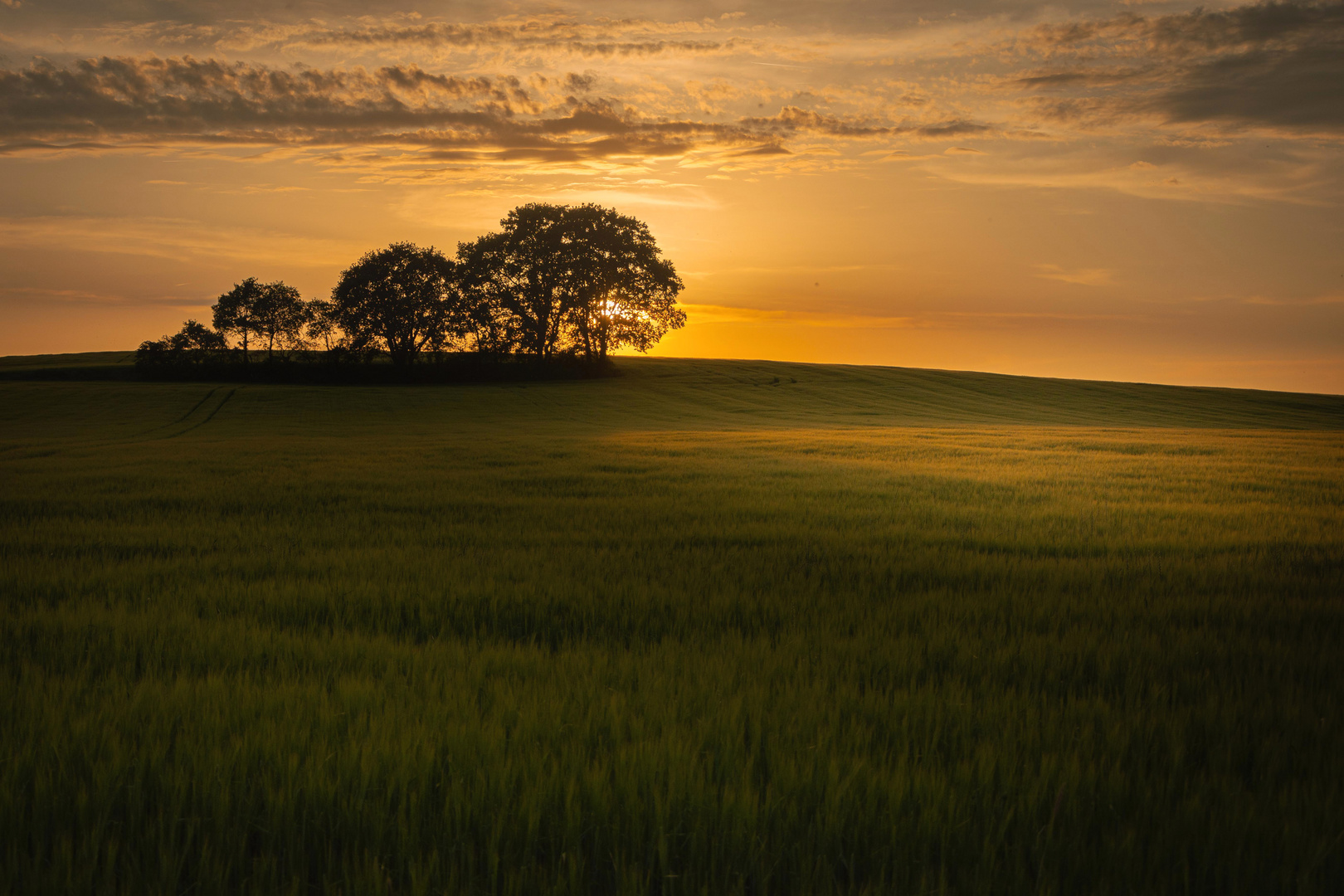 Sonnenuntergang 