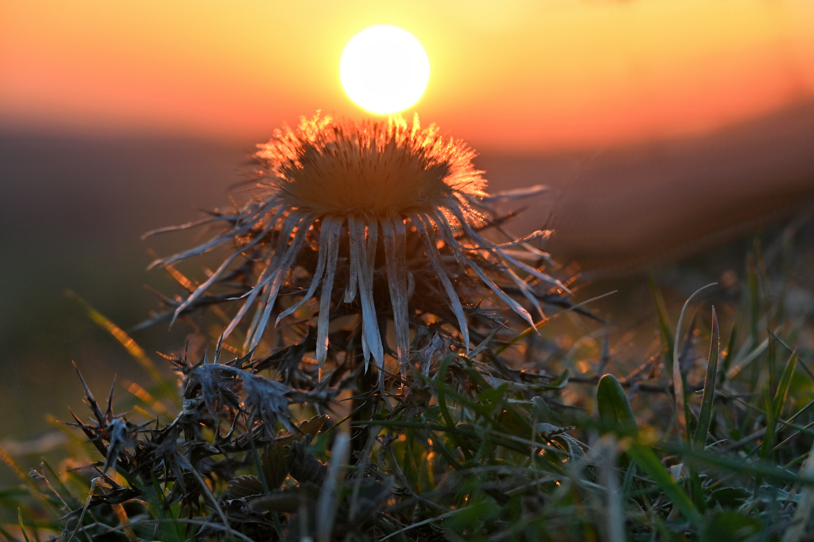 Sonnenuntergang...