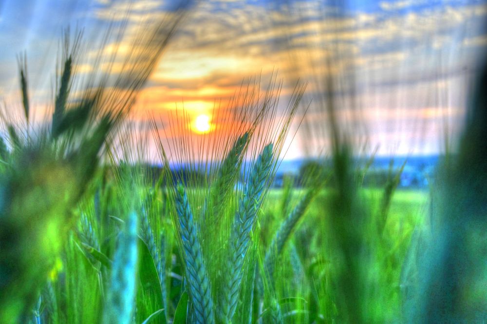 Sonnenuntergang von Urbex Minden Lübbecke