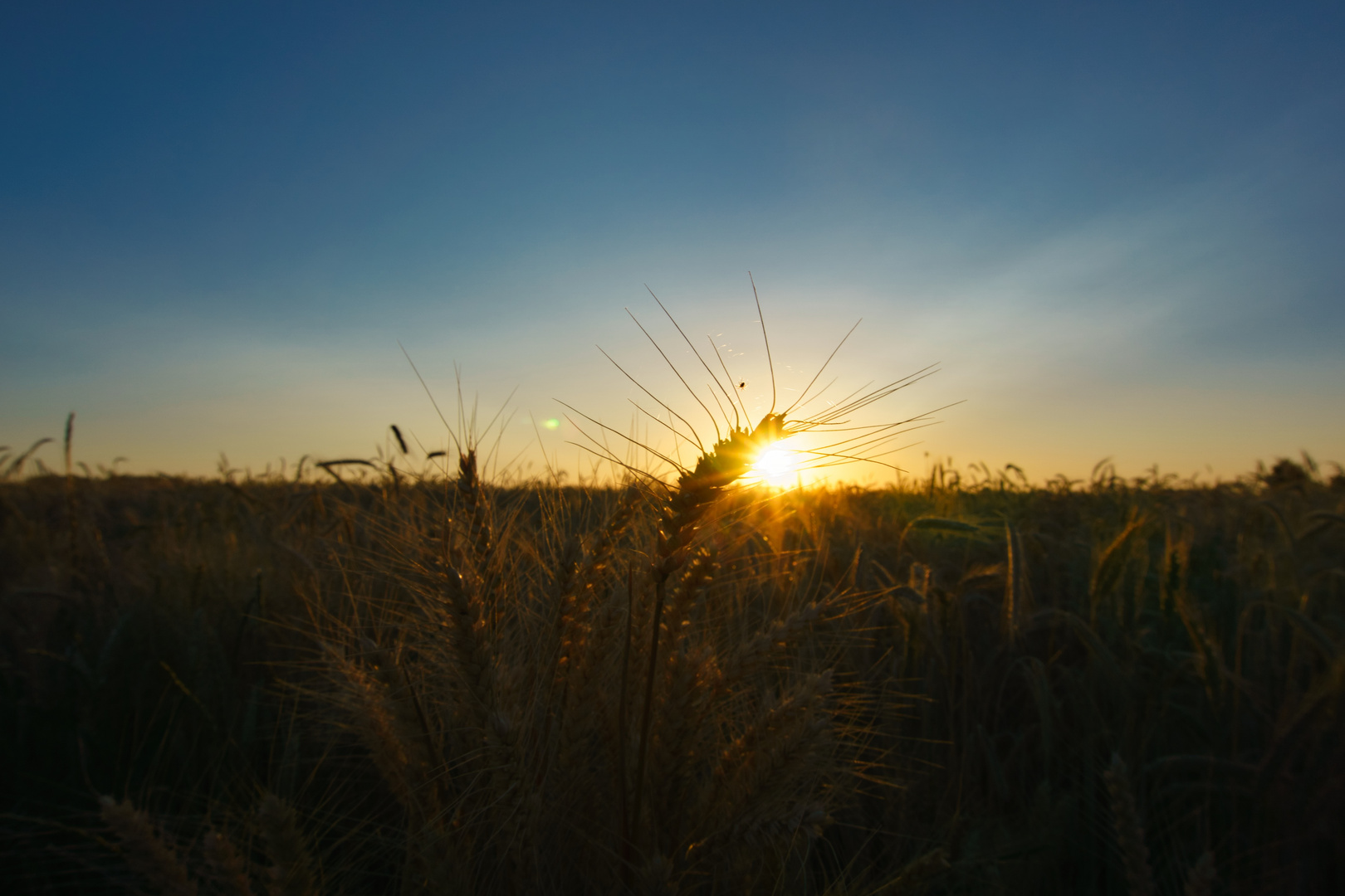 Sonnenuntergang 