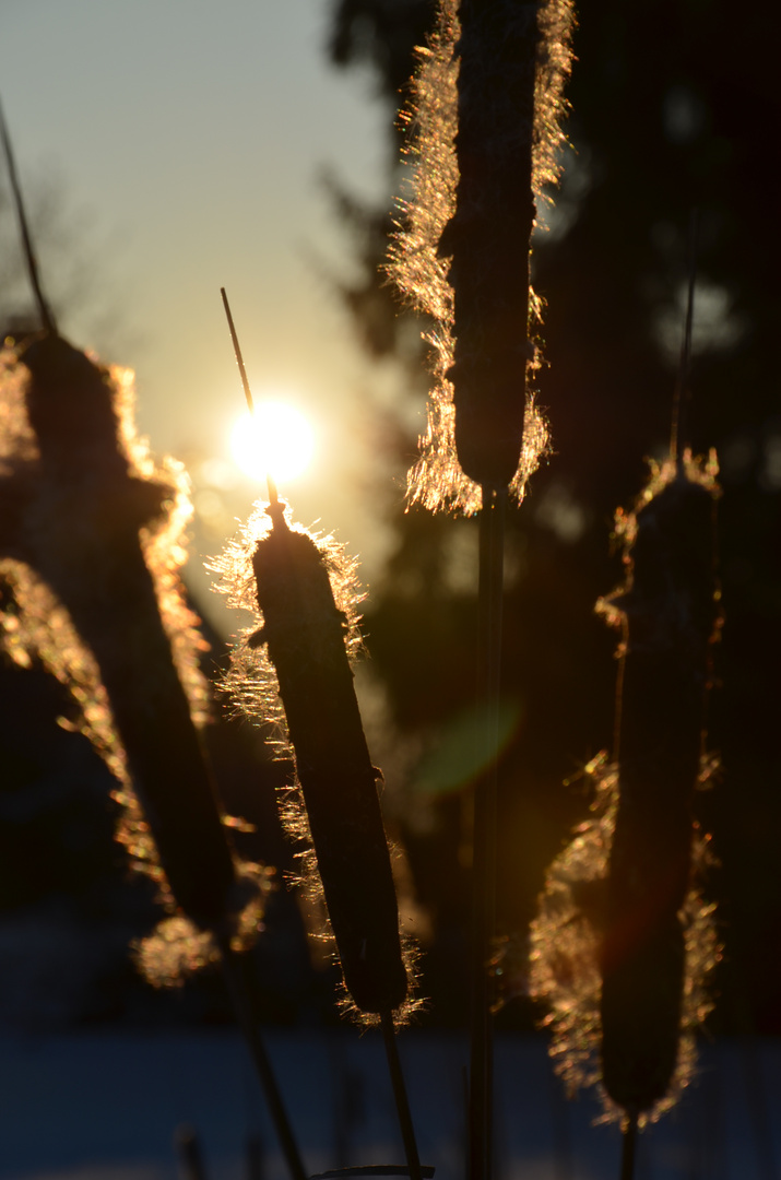 Sonnenuntergang