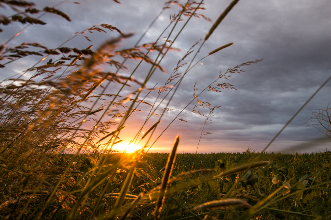 Sonnenuntergang