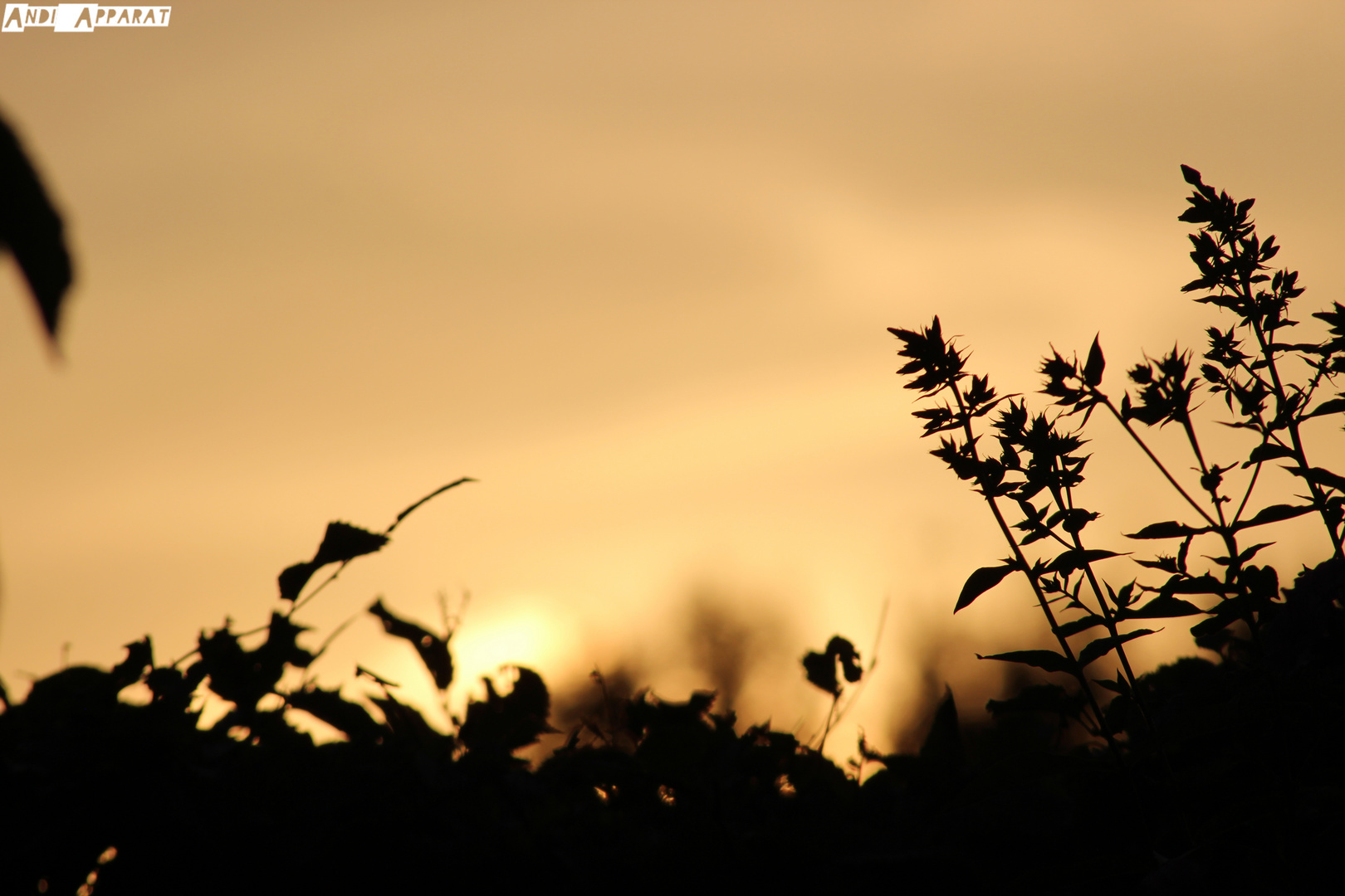 Sonnenuntergang