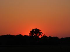 Sonnenuntergang - Abendglühen hinter'm Wald