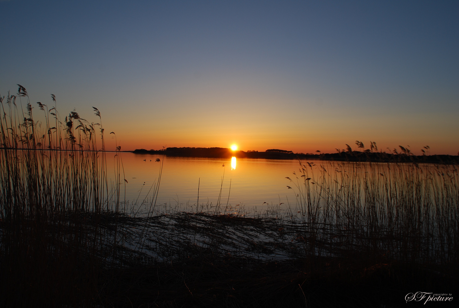 Sonnenuntergang (Achterwasser Ückeritz )