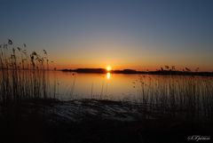 Sonnenuntergang (Achterwasser Ückeritz )