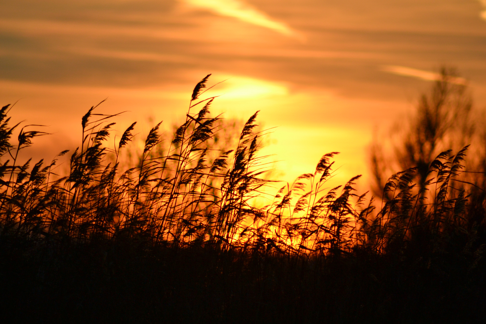 Sonnenuntergang