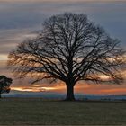 Sonnenuntergang ......