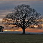 Sonnenuntergang ......