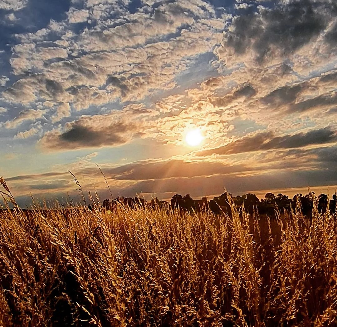 Sonnenuntergang 