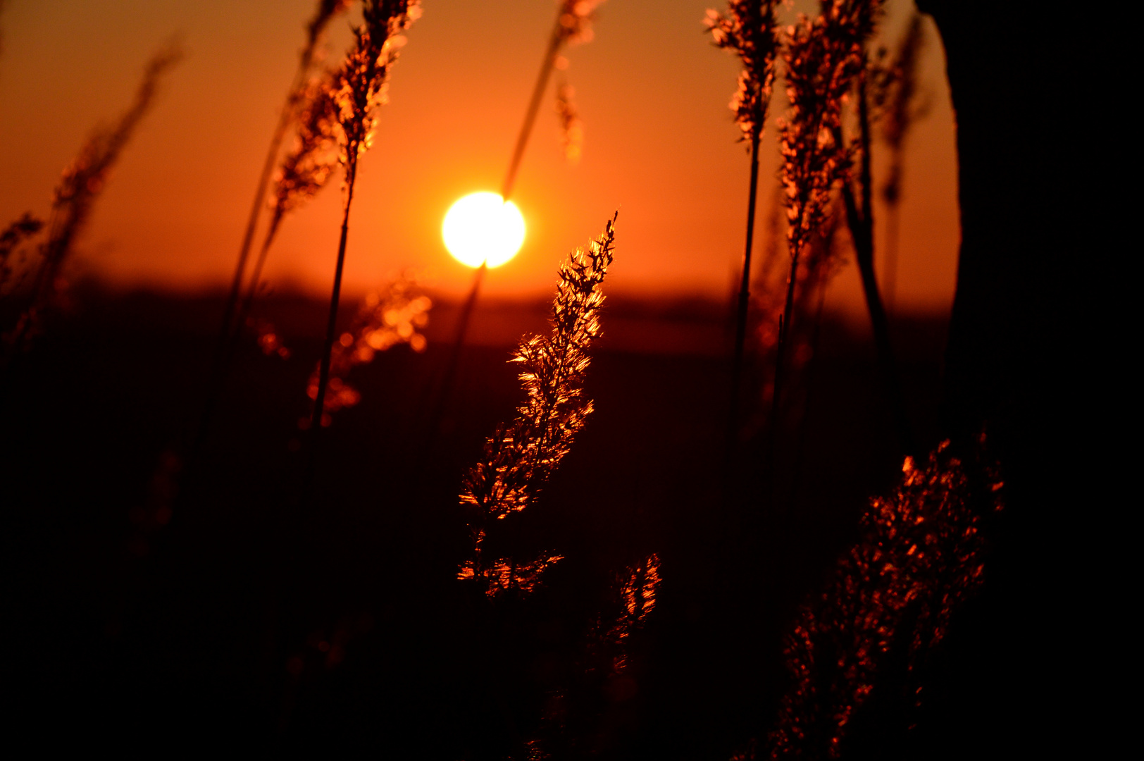 Sonnenuntergang