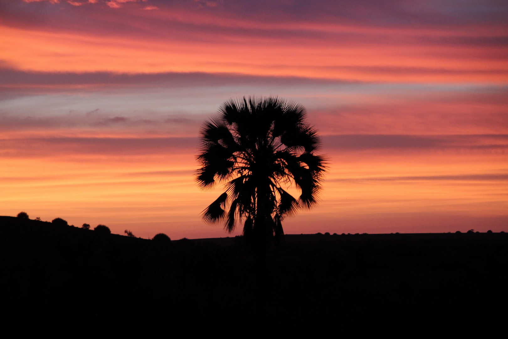 Sonnenuntergang | Africa