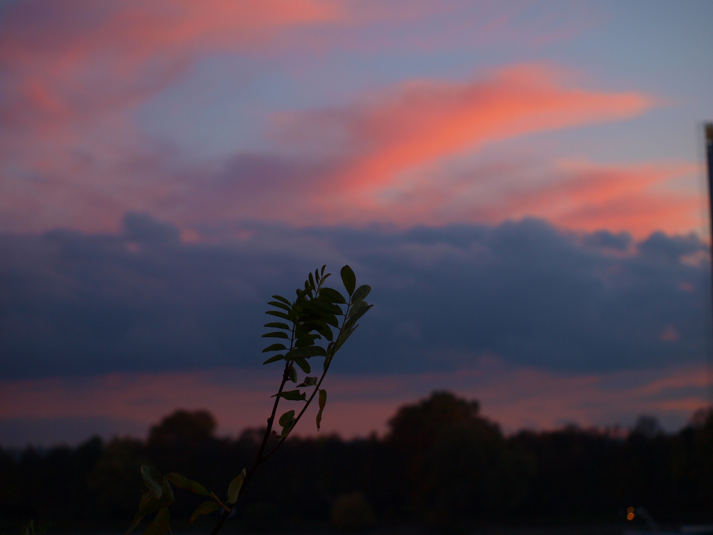 Sonnenuntergang als Gegenlicht