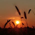 Sonnenuntergang Altlandsberg