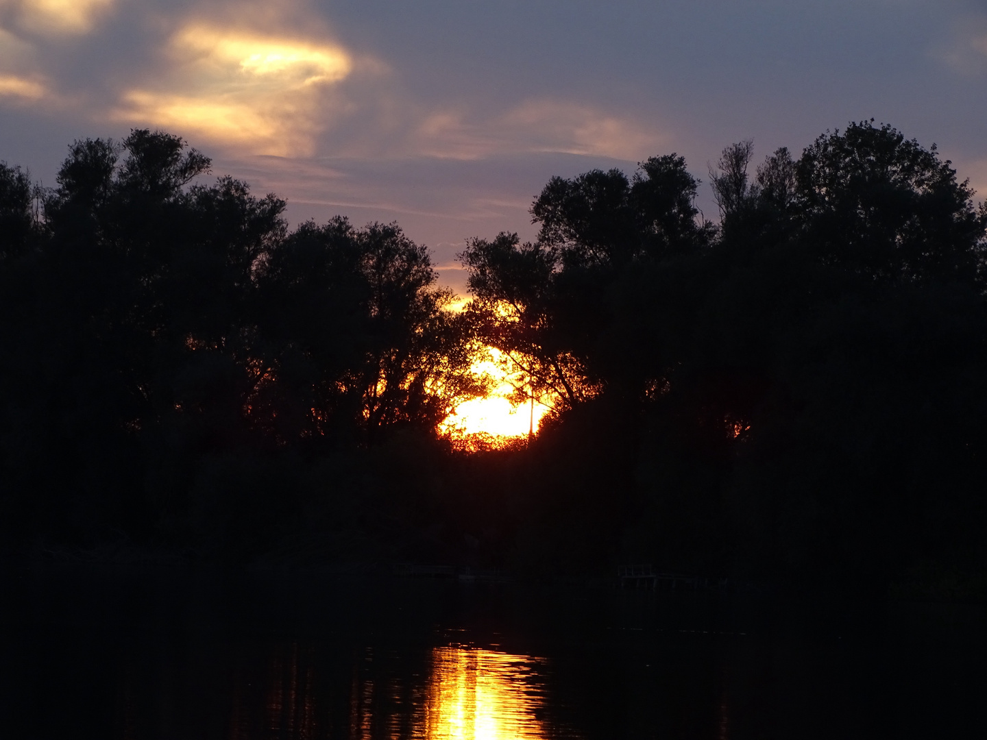 Sonnenuntergang Altrheinsee Eich Rheinhessen