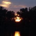 Sonnenuntergang Altrheinsee Eich Rheinhessen