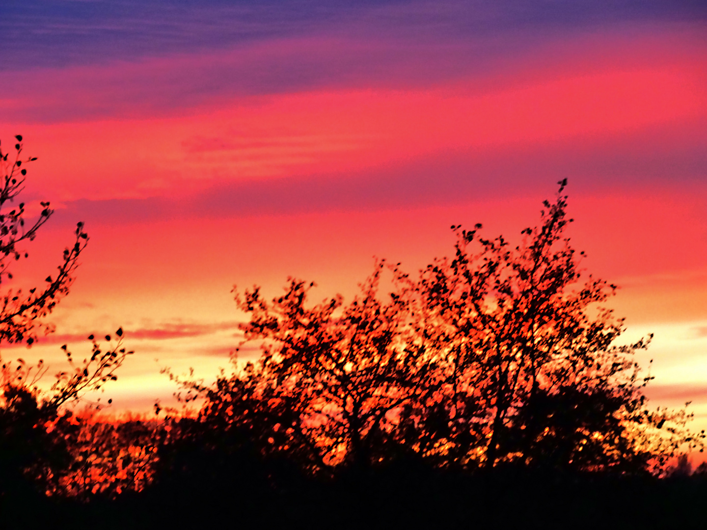 Sonnenuntergang am 08.11.2019