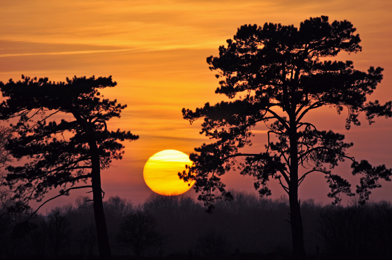 Sonnenuntergang am 11. März