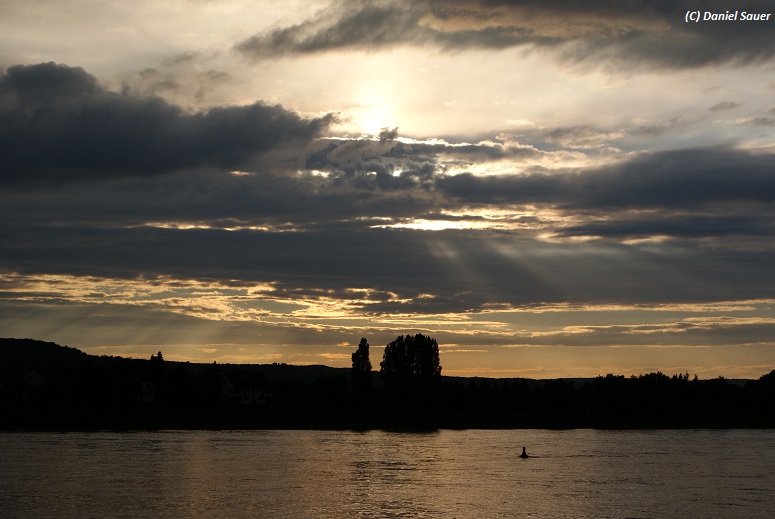 Sonnenuntergang am 12. Juli 2008 in Linz am Rhein