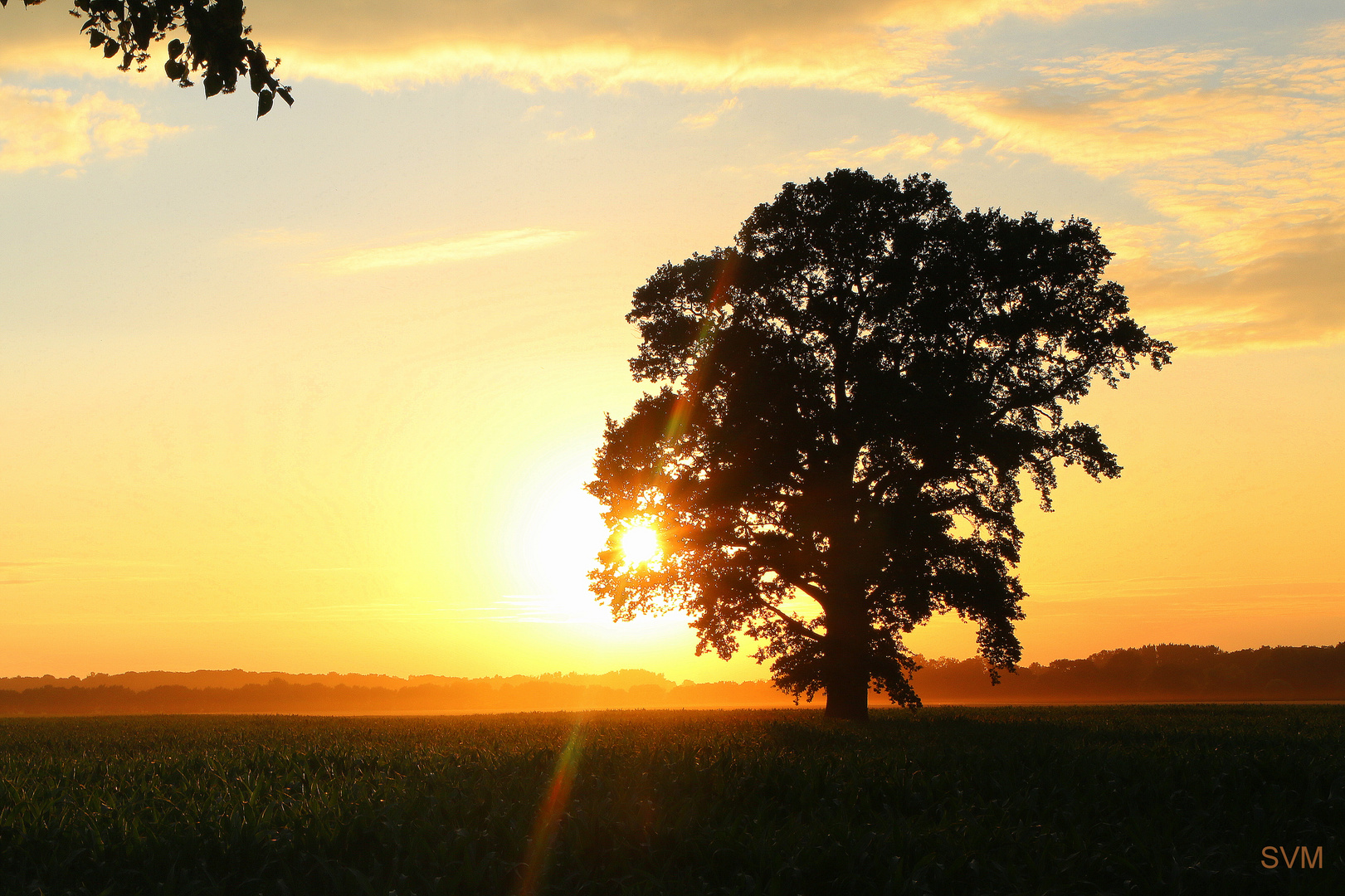 Sonnenuntergang am 18.06.2018