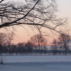 Sonnenuntergang am 1.Weihnachtstag 4