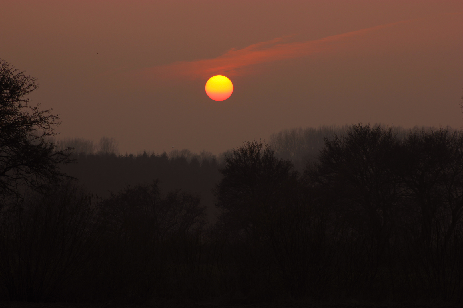 Sonnenuntergang am 20-03-2015 in Rosendahl-Darfeld, NRW, Deutschland III