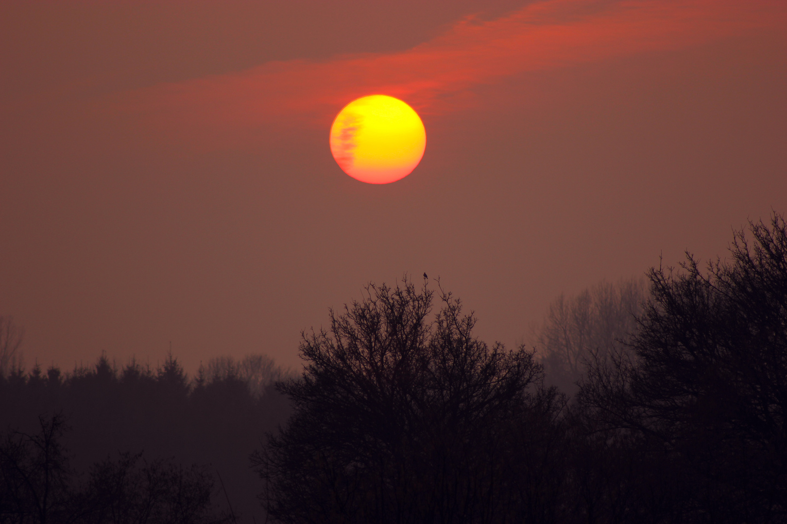 Sonnenuntergang am 20-03-2015 in Rosendahl-Darfeld, NRW, Deutschland IV