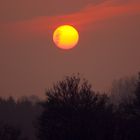 Sonnenuntergang am 20-03-2015 in Rosendahl-Darfeld, NRW, Deutschland IV