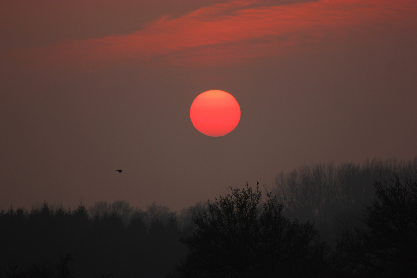 Sonnenuntergang am 20-03-2015 in Rosendahl-Darfeld, NRW, Deutschland V