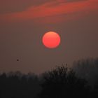 Sonnenuntergang am 20-03-2015 in Rosendahl-Darfeld, NRW, Deutschland V