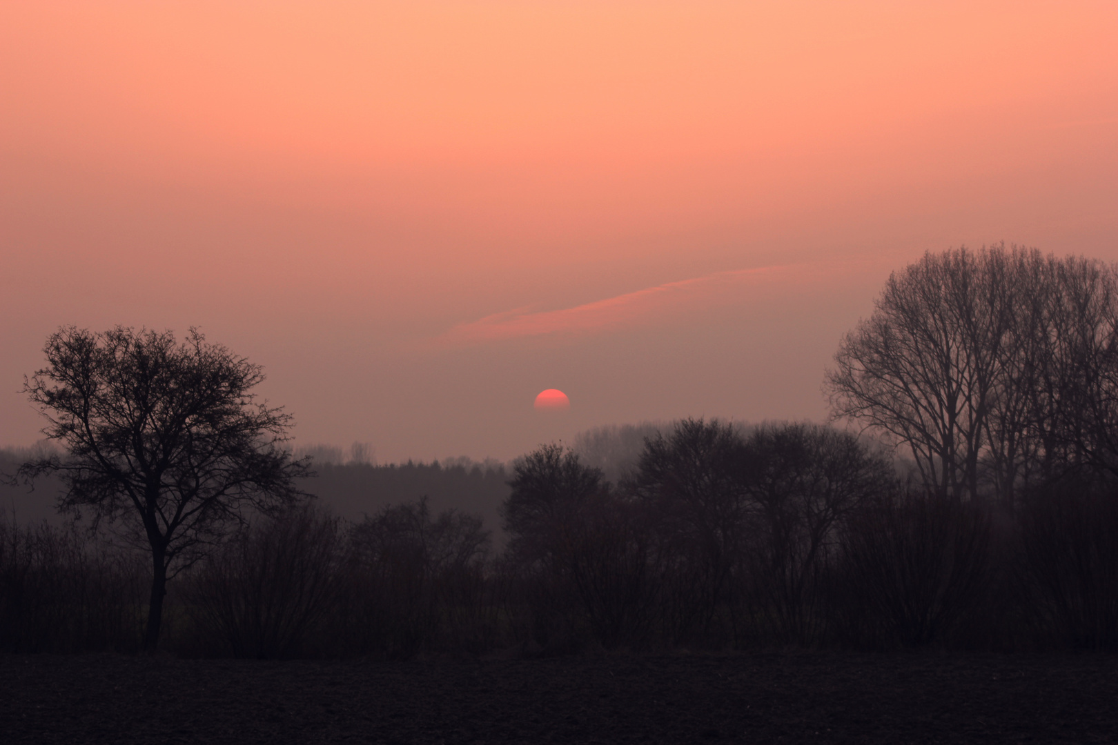 Sonnenuntergang am 20-03-2015 in Rosendahl-Darfeld, NRW, Deutschland VI