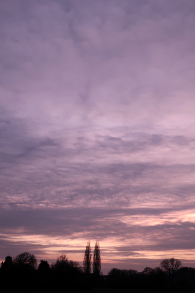 Sonnenuntergang am 20.02.2019 in der Lippeaue - Foto 1