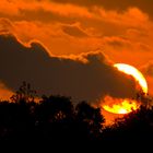 Sonnenuntergang am 20.10.2014