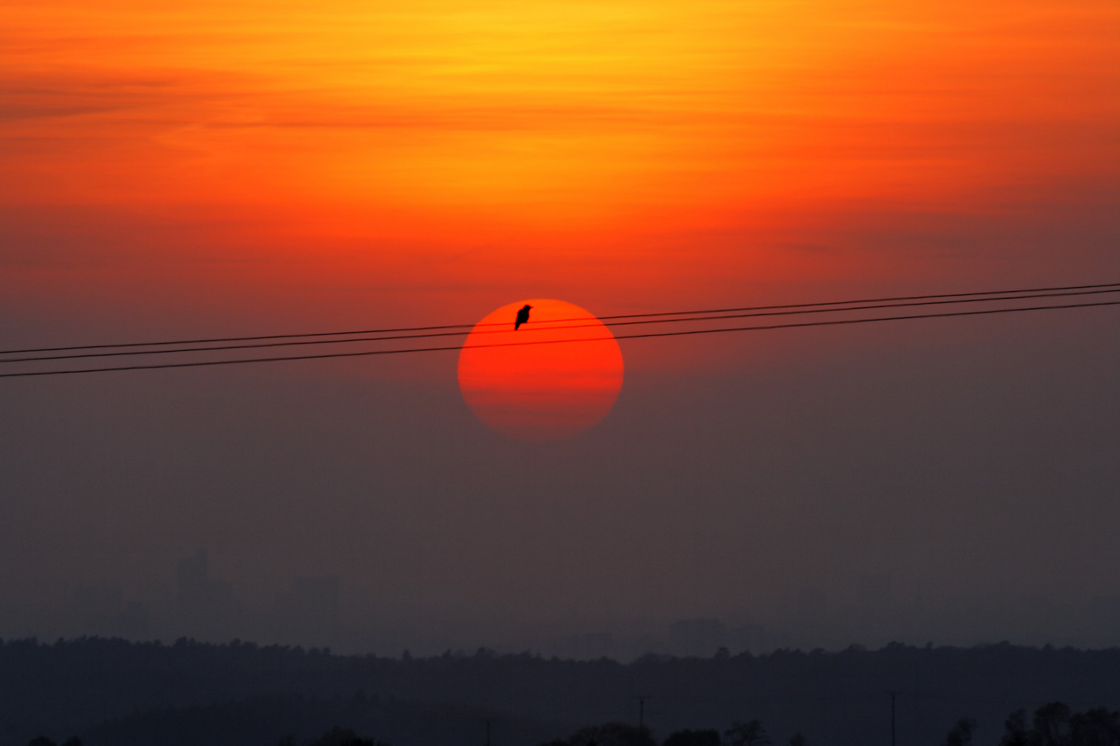 Sonnenuntergang am 24.04.2010