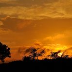 Sonnenuntergang am 24.8.12 um 20 Uhr in der Mehlinger Heide, Farben fast wie in Afrika 1