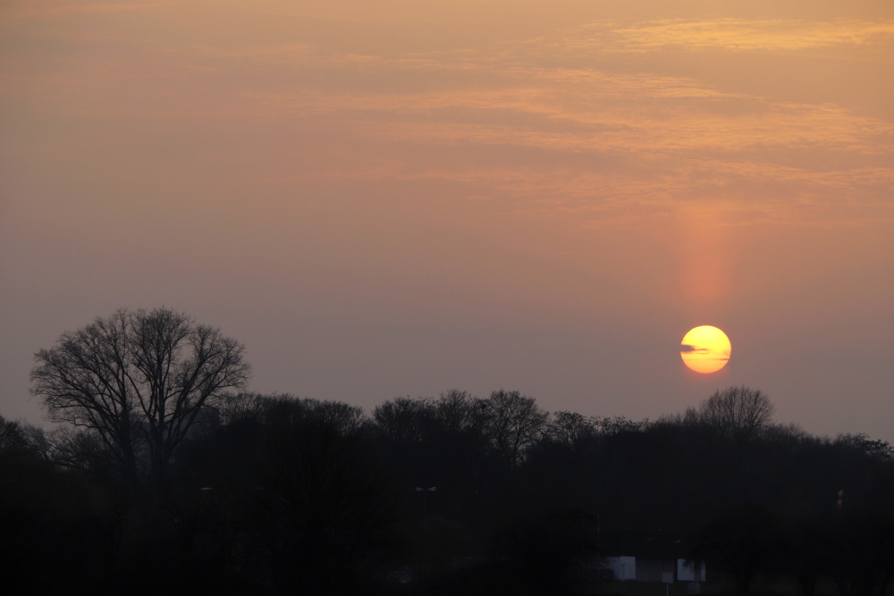 Sonnenuntergang am 3. März - Bild 2