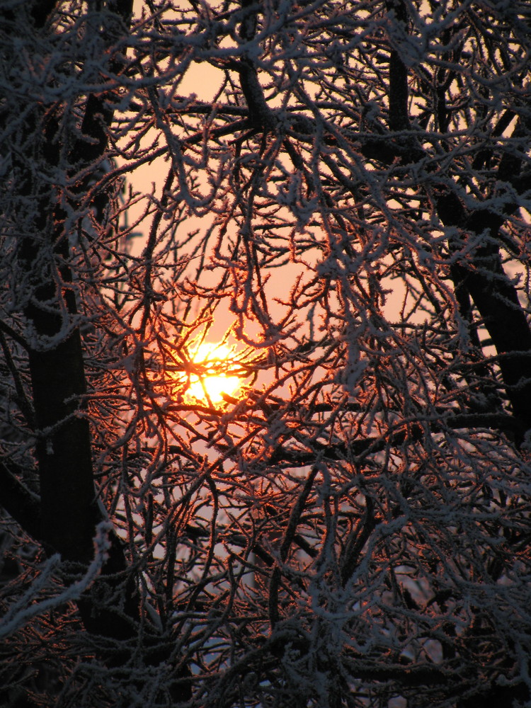 Sonnenuntergang am 4.1.09