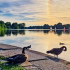 Sonnenuntergang am Aasee